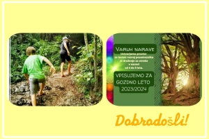 369700764_262297169932507_6621695794736904272_n