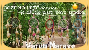 375228259_268717065957184_6068577708066110688_n